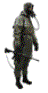 SETI II